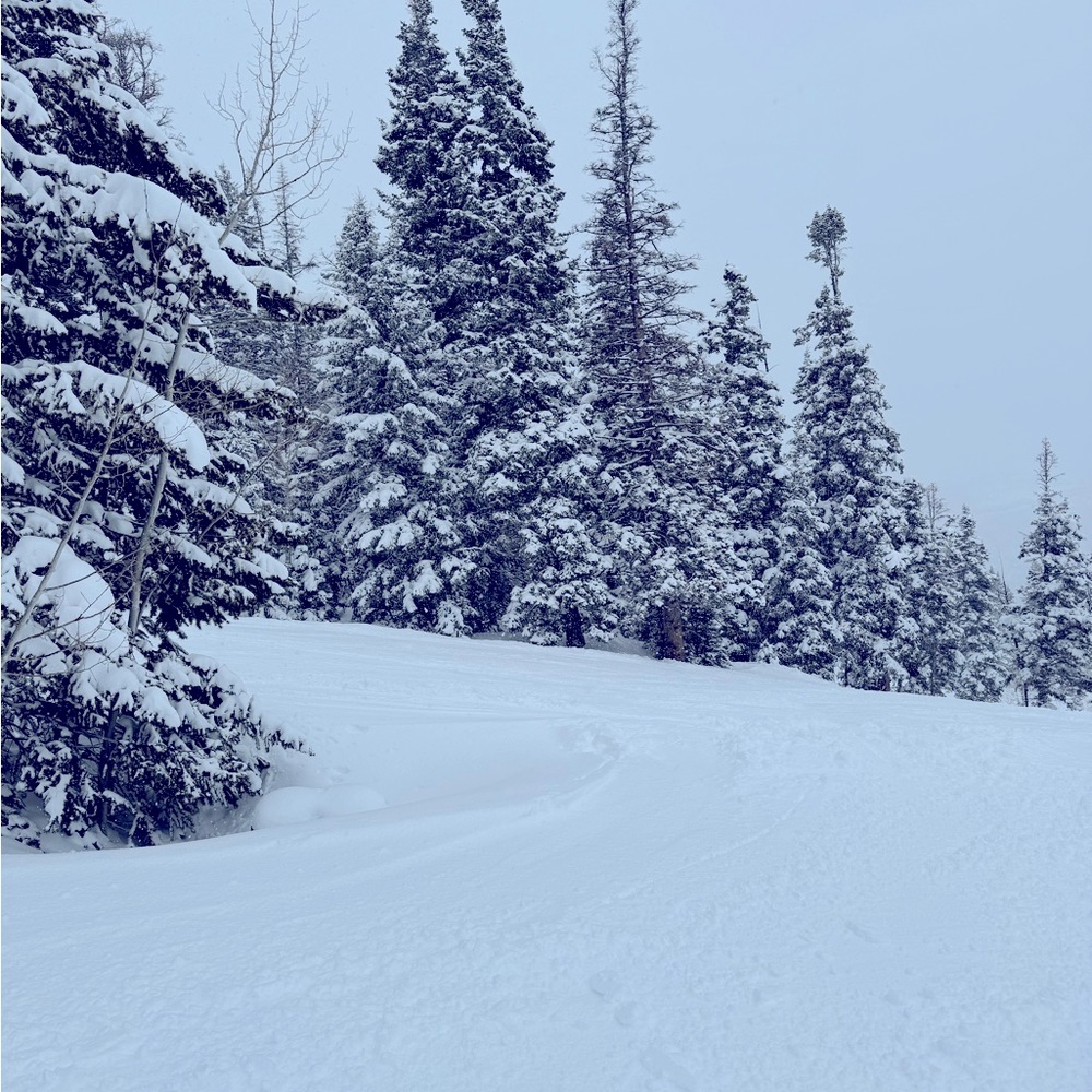 Meet your Posher, Nan